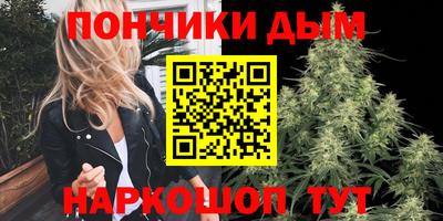 индика Донецк